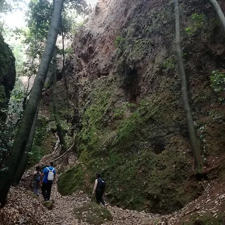 Alojamiento Rural La Tejana * Teror